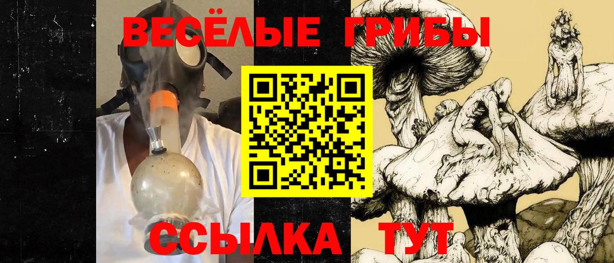 Галлюциногенные грибы GOLDEN TEACHER Карталы